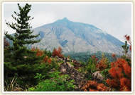 桜島有村溶岩展望所